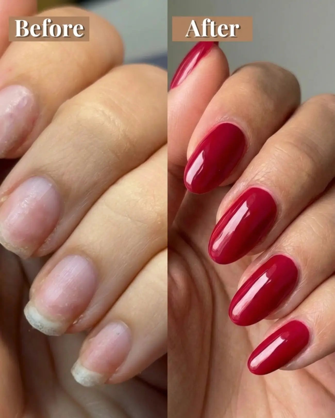 Glamnailsprofessional Salud & belleza > Cuidado de uñas > Gel de uñas Set de Inicio de Año Nuevo Polygel | 1+1 Colores Gratis
